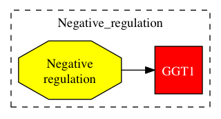 This is a graph with borders and nodes. Maybe there is an Imagemap used so the nodes may be linking to some Pages.