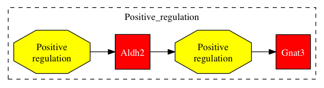 This is a graph with borders and nodes. Maybe there is an Imagemap used so the nodes may be linking to some Pages.