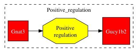 This is a graph with borders and nodes. Maybe there is an Imagemap used so the nodes may be linking to some Pages.