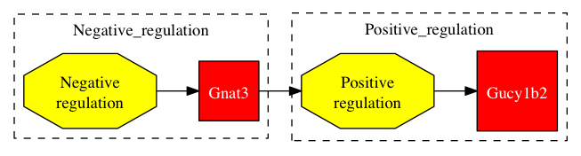This is a graph with borders and nodes. Maybe there is an Imagemap used so the nodes may be linking to some Pages.