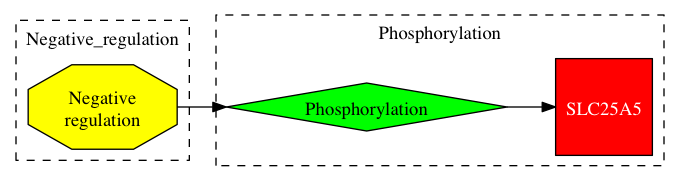 This is a graph with borders and nodes. Maybe there is an Imagemap used so the nodes may be linking to some Pages.