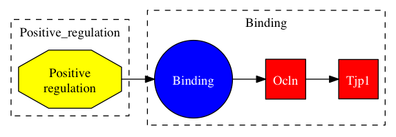 This is a graph with borders and nodes. Maybe there is an Imagemap used so the nodes may be linking to some Pages.