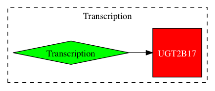 This is a graph with borders and nodes. Maybe there is an Imagemap used so the nodes may be linking to some Pages.