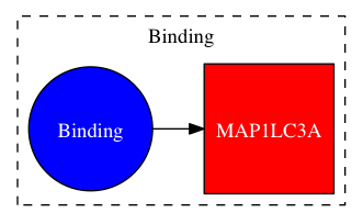 This is a graph with borders and nodes. Maybe there is an Imagemap used so the nodes may be linking to some Pages.