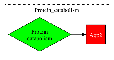 This is a graph with borders and nodes. Maybe there is an Imagemap used so the nodes may be linking to some Pages.